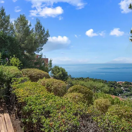 Le Chevalier 카프다일